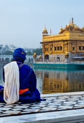 Unidentifiable Seekh Nihang warrior meditating at Sikh temple Harmandir Sahib. Amritsar, India